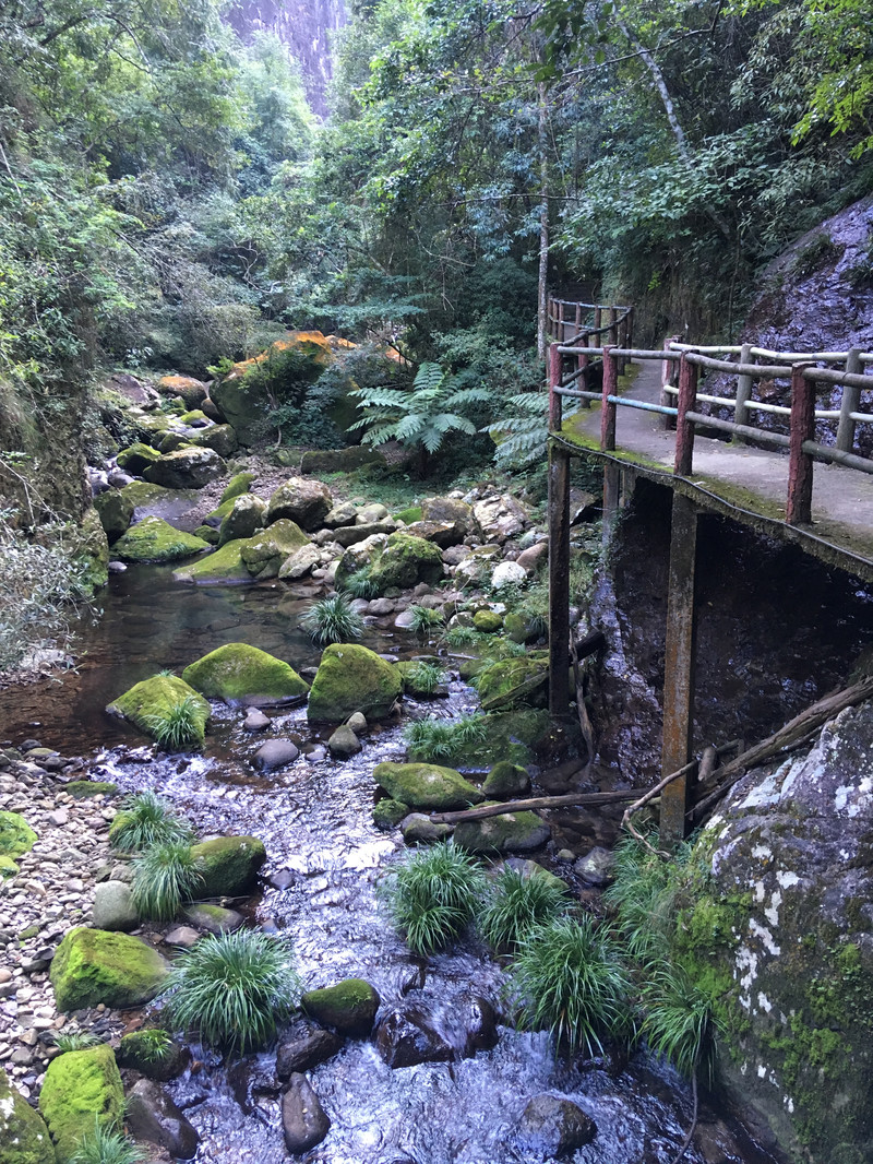 1659346889592848.jpg 100g12000000tc2lr2BB9_R_800_10000_Q90.jpg